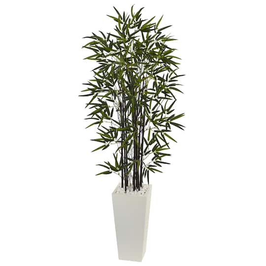 5.5ft. Black Bamboo Tree in White Tower Planter